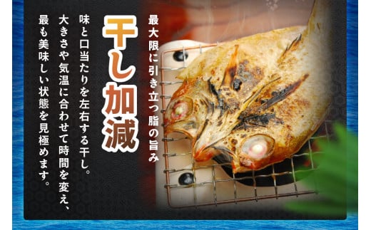 山陰浜田 香住屋のこだわり干物「のどぐろ・水かれい・あじ干物」約600g 魚介類 魚貝類 干物 一夜干し セット 詰め合わせ ギフト 贈り物 アカムツ 【946】