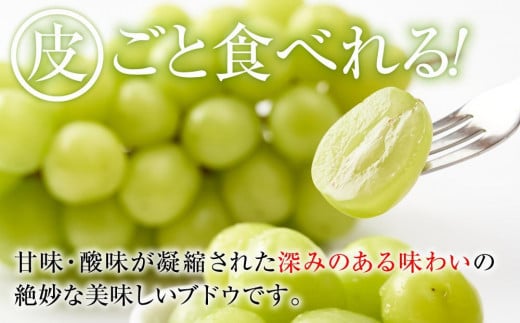 2024  シャインマスカット 【訳ありパック】 2パック　粒つぶパックマン　約1キロ　長野県産【10月初旬頃～順次発送予定 】国際特許有機肥料栽培