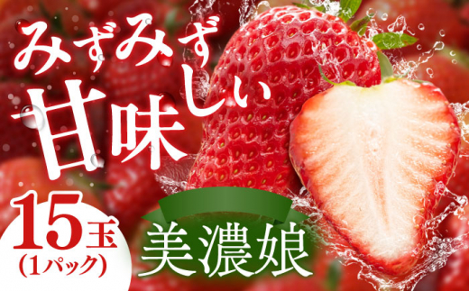 岐阜いちご 美濃娘【1月末までの入金で今期の発送】 イチゴ 苺 みのむすめ 岐阜市/JAぎふ [ANAO005]