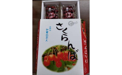 『令和7年産先行受付』山形県産さくらんぼ＜紅さやか秀品＞約800g　Lサイズ以上　200g×4P