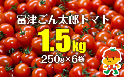 ミニトマト「富津ごん太郎トマト」1.5kg（250g×6袋）