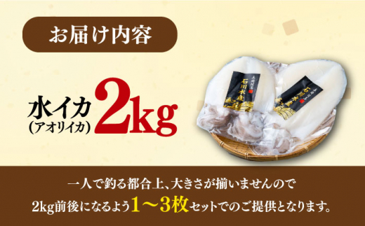 【 対馬産 】水 イカ （ アオリイカ ） 生 冷凍 2kg《対馬市》【石川水産】刺身 塩辛 鮮度抜群 海鮮 [WAB010]冷凍 新鮮 下処理 刺身 煮付け 塩焼き 海鮮 あおりいか おつまみ もう1品 真空パック 簡単調理 アオリイカ 対馬 長崎