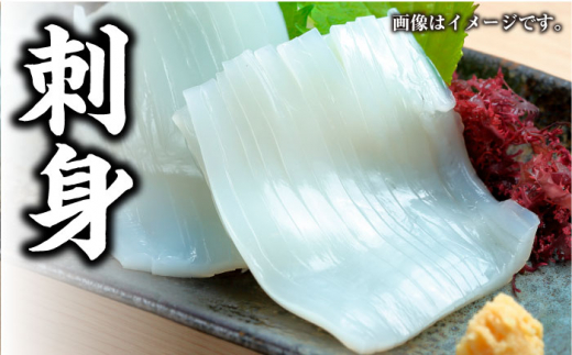 【 対馬産 】水 イカ （ アオリイカ ） 生 冷凍 2kg《対馬市》【石川水産】刺身 塩辛 鮮度抜群 海鮮 [WAB010]冷凍 新鮮 下処理 刺身 煮付け 塩焼き 海鮮 あおりいか おつまみ もう1品 真空パック 簡単調理 アオリイカ 対馬 長崎