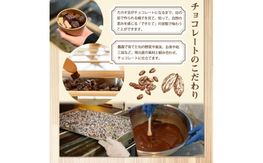 ＜数量限定＞ ＜選べる本数＞テリーヌショコラ(2本/600g) テリーヌ チョコレート チョコ チョコケーキ ケーキ 生チョコ ガトーショコラ スイーツ 【man171・man174】【サニーサイド】