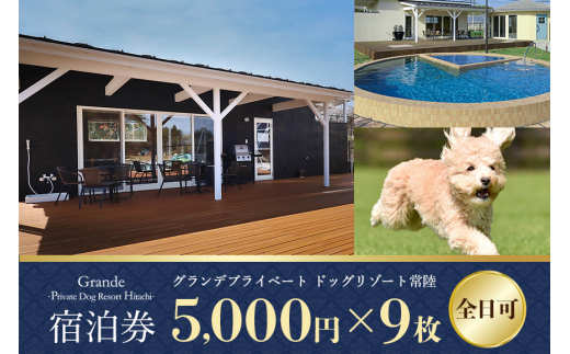 グランデ プライベート ドッグリゾート常陸宿泊券 5,000円×9枚（全日可） 愛犬 ペットOK ドッグラン プール 温泉 サウナ ホテル チケット 宿泊 旅行 宿泊券 旅行券 72-I