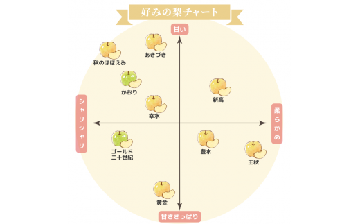 CH003 【高春園】松戸の完熟梨「あきづき」5kg