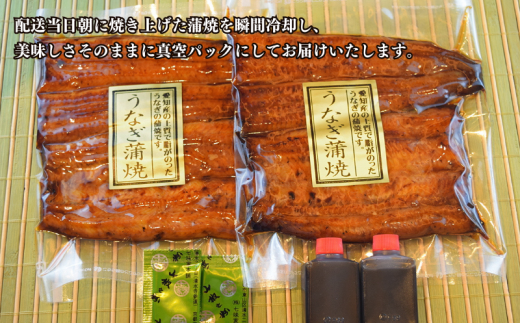 【毎月定期便3回】鰻 国産 鰻蒲焼 約120g×2パック たれ 山椒付