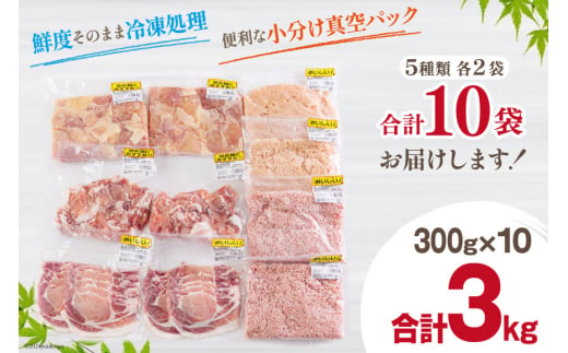 宮崎県産 豚肉 鶏肉 セット ひき肉 こま切れ ロース 生姜焼き用 もも カット 小分け 各300g×2袋 計3kg [甲斐精肉店 宮崎県 美郷町 31as0059] 冷凍 宮崎県産 送料無料 炒め物 煮込み 豚丼 そぼろ丼 ハンバーグ 豚汁 キーマカレー 詰め合わせ 真空包装 挽き肉 ミンチ 小間切れ つくね