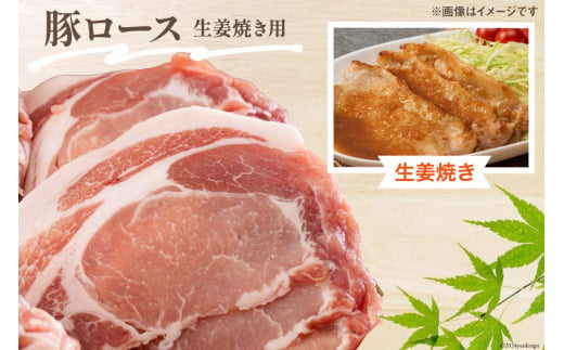 宮崎県産 豚肉 鶏肉 セット ひき肉 こま切れ ロース 生姜焼き用 もも カット 小分け 各300g×2袋 計3kg [甲斐精肉店 宮崎県 美郷町 31as0059] 冷凍 宮崎県産 送料無料 炒め物 煮込み 豚丼 そぼろ丼 ハンバーグ 豚汁 キーマカレー 詰め合わせ 真空包装 挽き肉 ミンチ 小間切れ つくね