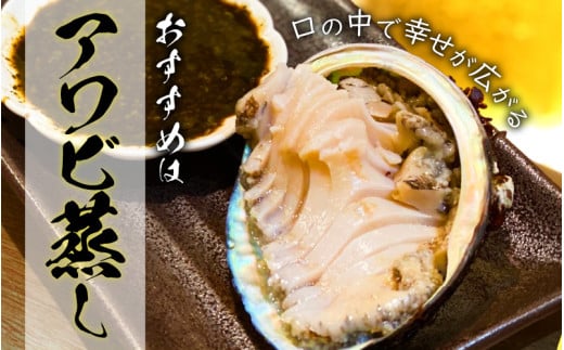 【先行予約】日本海若狭湾【活きたまま天然アワビ約600g】海水パックにてお届け！【2024年12月上旬以降順次発送】 [m36-d001]