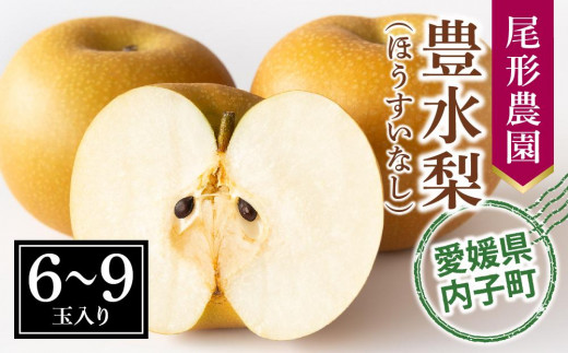 尾形農園の豊水梨（ほうすいなし）（2）【6～9玉入り】【フルーツ 果物 くだもの 食品 人気 おすすめ 送料無料】