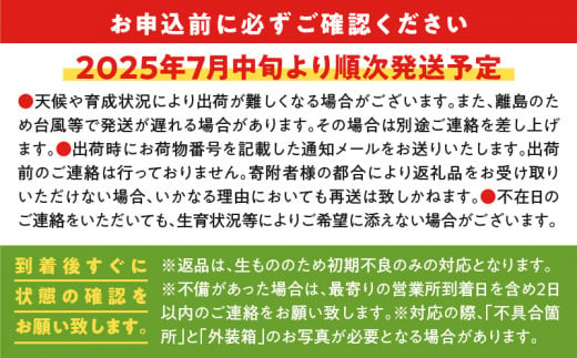 【2025年先行予約】ファーム白川の完熟マンゴー 訳あり2kg　C032-001