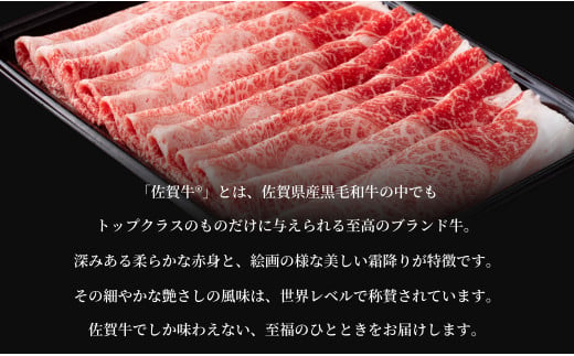 佐賀牛三昧定期便 毎月届く 全12回 計5.5kg 肉 定期便 佐賀牛 こだわり おすすめ ギフト 贈答 黒毛和牛 ランキング 30万円 300000 N300-6