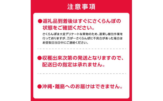 2025年発送【先行予約】令和7年産 紅秀峰南陽食べ比べ【2Lサイズ】各500g【ニトリ観光果樹園】余市 北海道 フルーツ王国 さくらんぼ サクランボ 桜桃 紅秀峰 南陽 食べ比べ 余市産さくらんぼ 人気さくらんぼ ニトリ