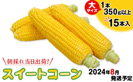 2004スイートコーン大サイズ(1本350g以上)15本入【朝採れ当日出荷！2025年8月発送予定】