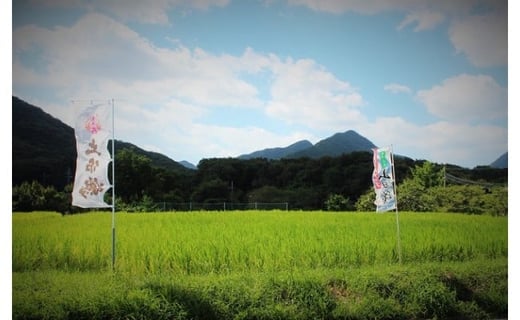 20-17 西脇市産山田錦使用「土佐鶴 純米大吟醸」（1,800ml）