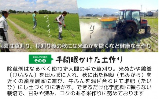 令和6年産 新米「わくわく農場」の新潟県五泉産コシヒカリ 精米 5kg（5kg×1袋）新潟県 五泉市 わくわく農場