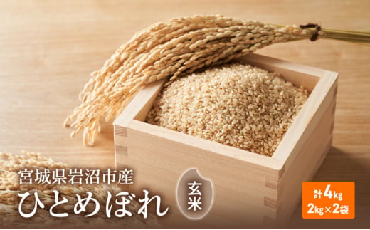 令和6年度産 ひとめぼれ玄米2kg×2袋 宮城県 岩沼市 玄米 お米 米 ごはん ご飯 単一原料米[№5704-0881]