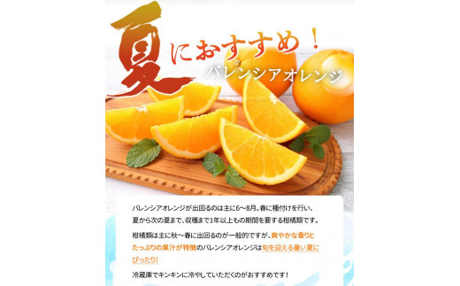 秀品 希少な国産バレンシアオレンジ 5kg【2025年6月下旬頃～2025年7月上旬頃に順次発送】【UT76】