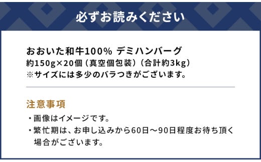 おおいた和牛100% デミハンバーグ 約150g×20個 合計約3kg 牛肉 豊後牛 ハンバーグ おかず お弁当 小分け レンジ 時短料理 惣菜 冷凍 大分県産 九州産 津久見市 国産