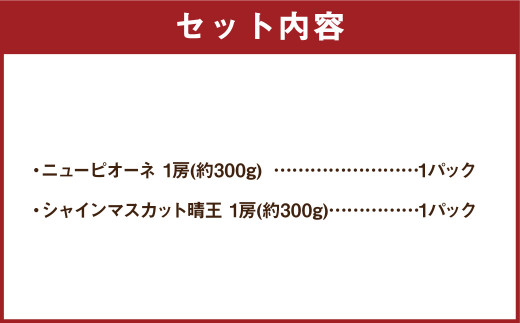 岡山県産 ぶどう パック 詰合せ ※2種2パックセット 