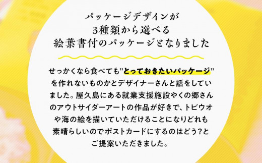 屋久島産トビウオ100％屋久島フィッシュカレー絵葉書付き3個セット