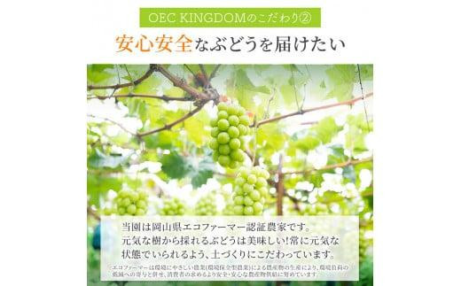 ぶどう 2024年 先行予約 ［ご家庭用］ シャイン マスカット 2房（合計1kg以上）  ブドウ 葡萄  岡山県産 国産 フルーツ 果物 OEC KINGDOM ぶどう家