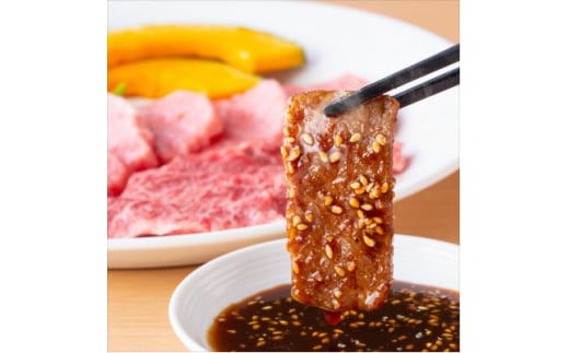 A5等級飛騨牛:焼肉用500g　ロース又は肩ロース肉【1538418】