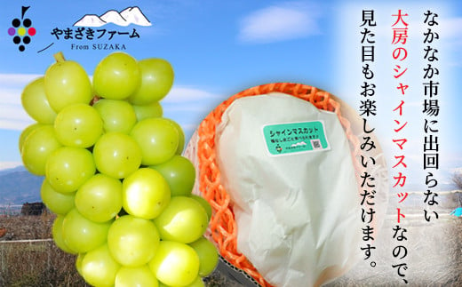 [No.5657-3845]【年内発送】冬に味わう！冷蔵シャインマスカット 約2kg (約2～4房) 《やまざきファーム》■2024年発送■※12月上旬頃～12月下旬頃まで順次発送予定