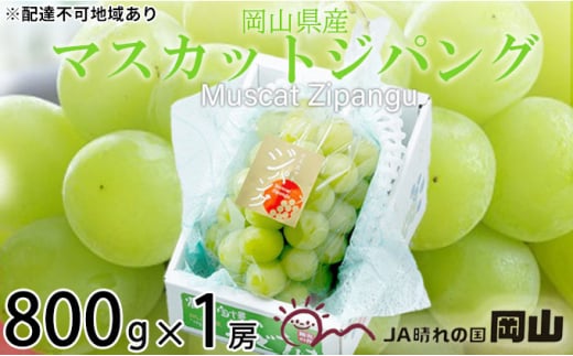 ぶどう 2024年 先行予約 マスカット ジパング 約800g×1房 ブドウ 葡萄  岡山県産 国産 フルーツ 果物 ギフト