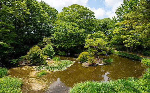 大正浪漫かほるステンドグラス 宮越家 フリーパス入場券 1枚 庭園 離れ 奥津軽 静川園 詩夢庵 中泊町 青森 F6N-145