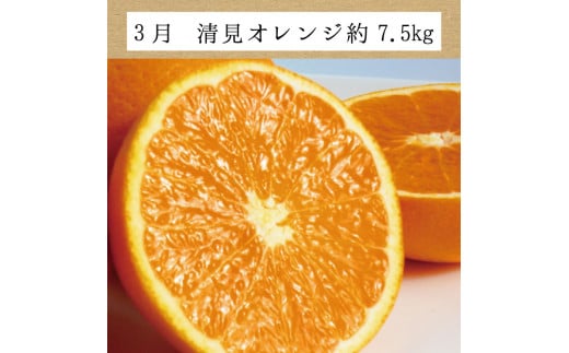 【3か月定期便】たっぷり届く♪訳ありみかんの定期便　温州みかん・不知火・清見オレンジ【tkb113】