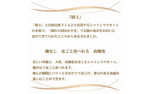 ＜先行予約＞【2024年8月発送開始】シャインマスカット 晴王 4kg(5房～10房) TY0-0307