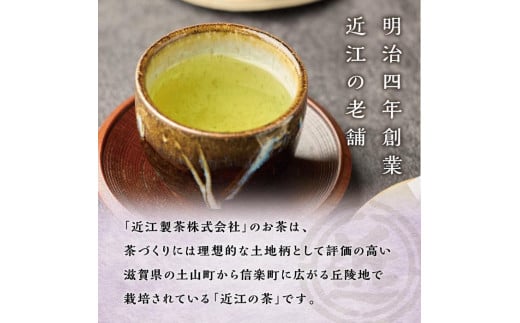 【定期便6回】朝宮茶 ティーバッグ 2g ( 10個入り ) × ５袋