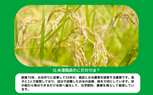 [1371]【令和6年度収穫分】信州飯綱町産　こしひかり（玄米）10kg×6回【6カ月定期便】 ※沖縄および離島への配送不可　※2024年10月上旬頃から順次発送予定　米澤商店