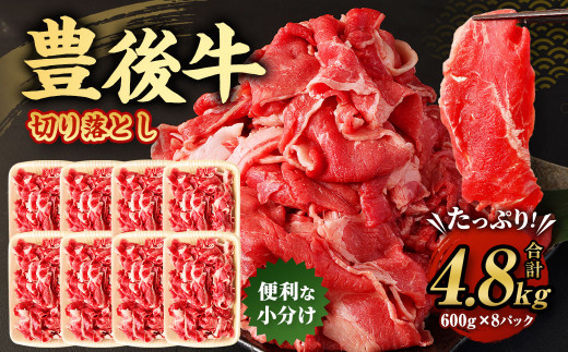 豊後牛 切り落とし 合計約4.8kg (約600g×8パック) 牛肉 国産 大分県産