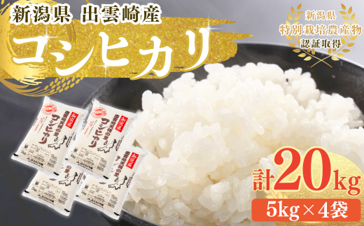 【令和６年産新米・新潟県出雲崎産】特別栽培コシヒカリ「天領の里」20㎏をお届けします