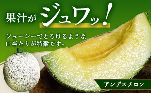 【2025年4月中旬発送開始】熊本県産 アンデスメロン 2玉 約2.5kg以上