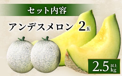 【2025年4月中旬発送開始】熊本県産 アンデスメロン 2玉 約2.5kg以上