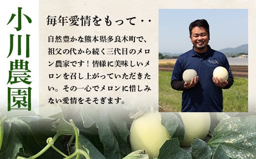 【2025年4月中旬発送開始】熊本県産 アンデスメロン 2玉 約2.5kg以上