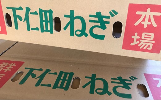 ねぎとこんにゃく下仁田セット とろける 甘い ねぎ ネギ 王様ねぎ 特産 栄養たっぷり ブランド 上州ねぎ すきやき F21K-032