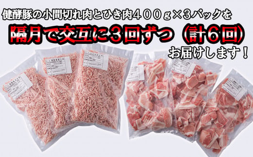 ＜定期便6回＞ 北海道産 健酵豚 小間切れ ＆ ひき肉 計 1.2kg (全7.2kg) 定期便 豚肉 ブランドポーク 大容量 小分け こま切れ 挽肉