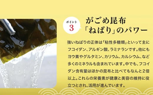 No.212 おいしい根こんぶだし　6本セット ／ 調味料 昆布エキス がごめ昆布 とろみ 出汁 愛知県