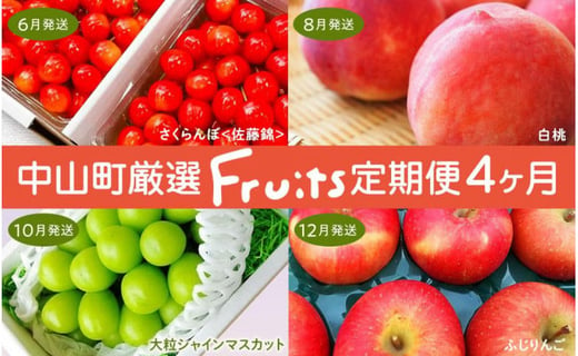 【令和7年産先行受付】山形県中山町の至高！山形県中山町厳選フルーツ定期便　全4回