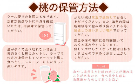 【大玉限定】和歌山県産 川中島白桃 《秀品》 3玉入り（3Lまたは4Lサイズ）【7月下旬より発送】【MG28】