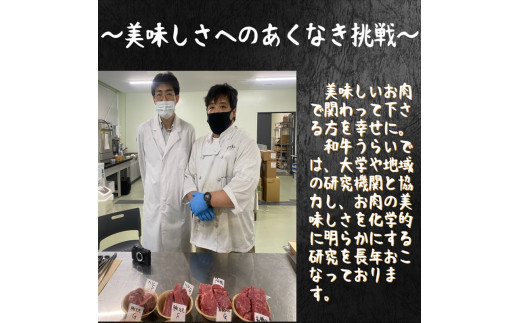 【肉のまち かこがわ】黒毛和牛 赤身モモ スライス 250g×2 《 黒毛和牛 和牛 赤身モモ 赤身 お肉 薄切り 》【2401A00622】