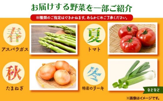 209.【3ヶ月定期便】旬の新鮮野菜とお米詰め合わせセット 野菜5～10品目入 青空市きらり《お申込み月の翌月から出荷開始》岡山県 矢掛町 野菜 野菜詰め合わせ 米 米3kg トマト きゅうり アスパラガス 玉ねぎ リーキ 送料無料