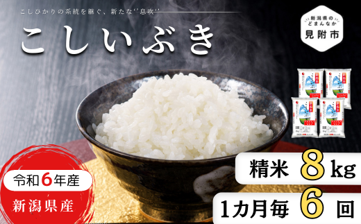 米 定期便 8kg×6か月(計 48kg) 新潟県産 こしいぶき 令和6年産 精米したてをお届け 新潟のど真ん中 見附市