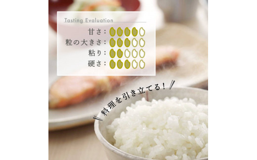 米 定期便 8kg×6か月(計 48kg) 新潟県産 こしいぶき 令和6年産 精米したてをお届け 新潟のど真ん中 見附市