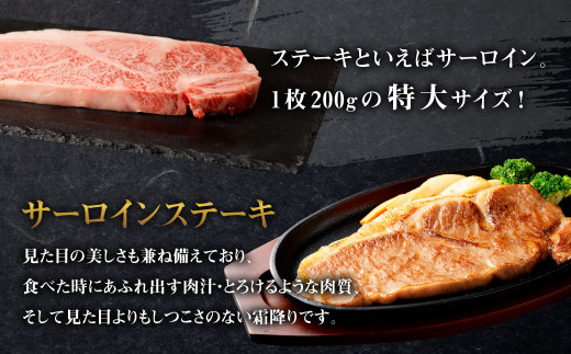 【3回定期便】くまもと黒毛和牛 杉本本店 黒樺牛 A4~A5等級 サーロインステーキ定期便 400g×3回